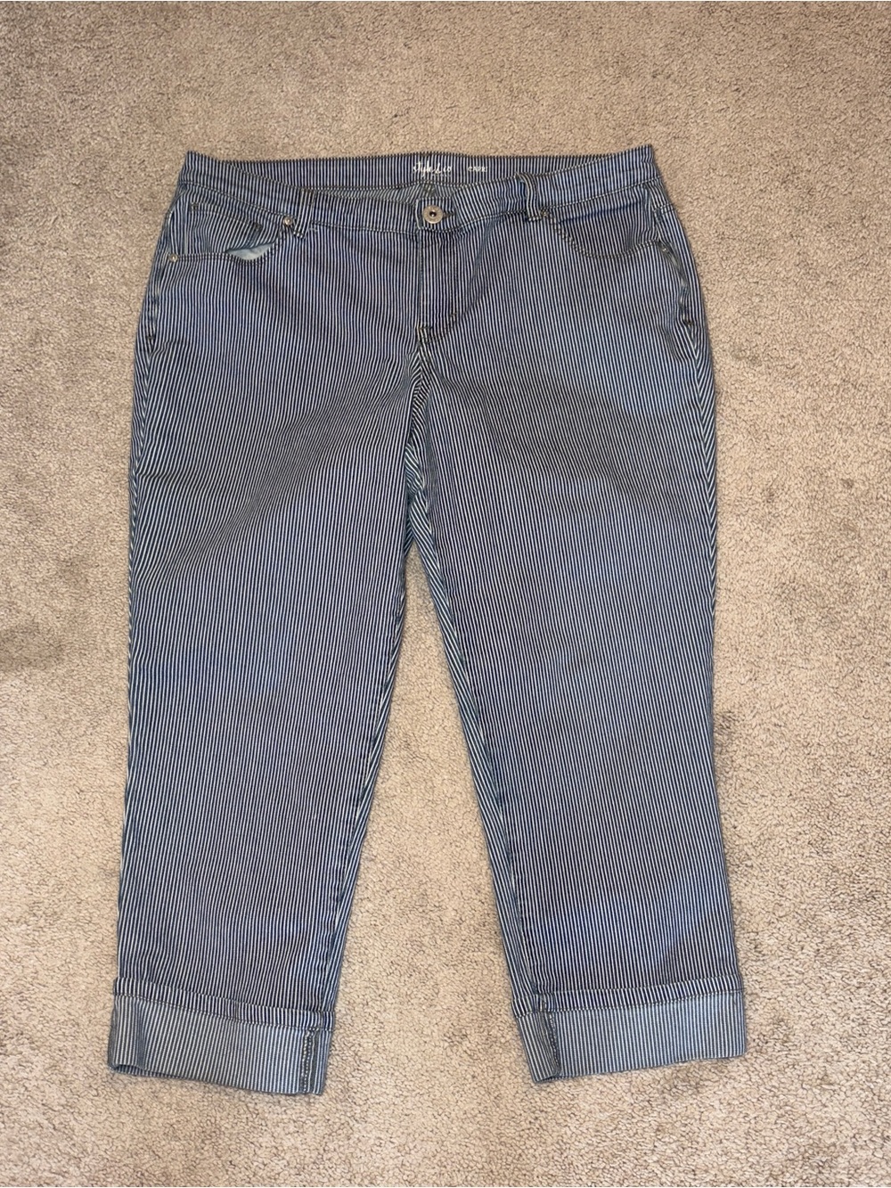 Style & Co. Blue & White Striped Capri Jeans 14W